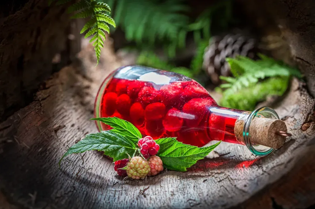 gdzie przechowywać wino